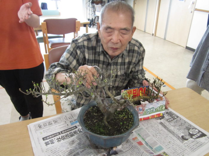 デイサービスで盆栽の手入れをしている高齢男性