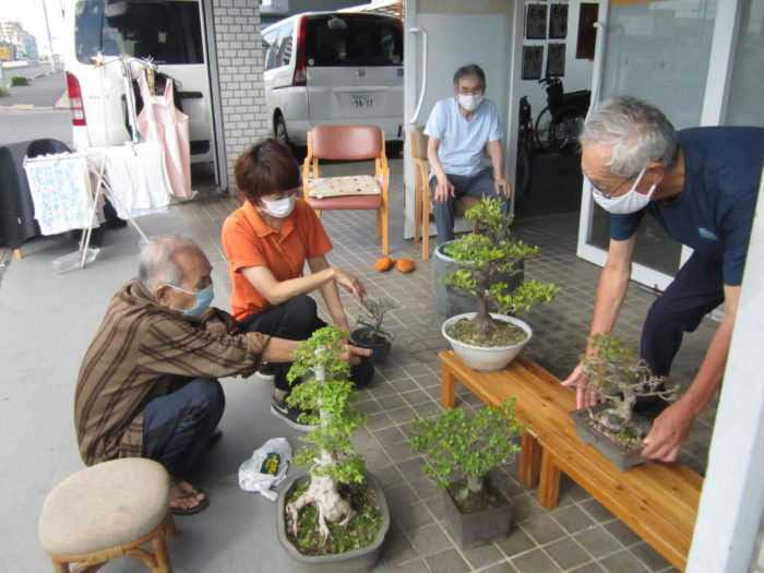 植物を並べている高齢男性と女性スタッフ