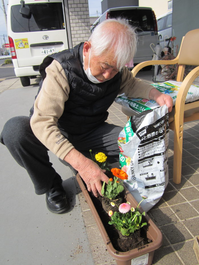 プランターに花を植えている高齢男性