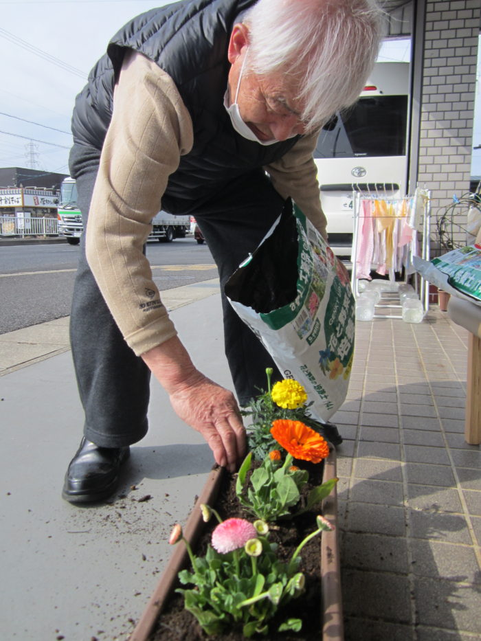 プランターに花を植えている高齢男性